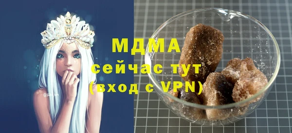 МДПВ Ельня