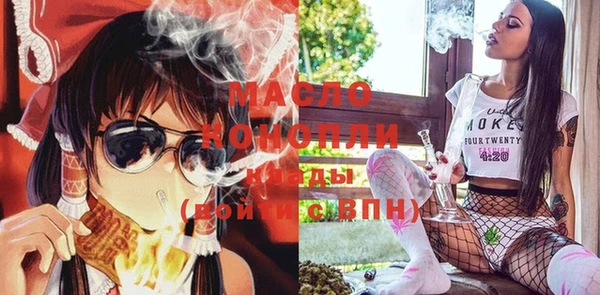 МДПВ Ельня