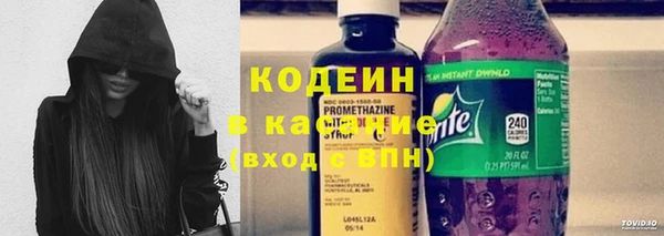 МДПВ Ельня