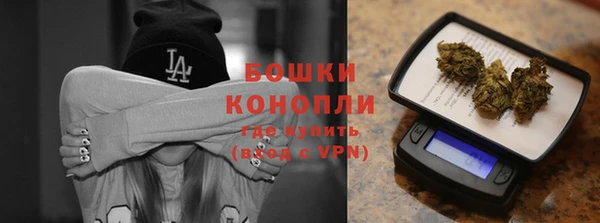 МДПВ Ельня