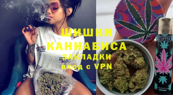 МДПВ Ельня