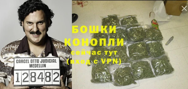 МДПВ Ельня