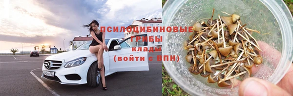 МДПВ Ельня