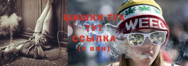 спиды Елизово