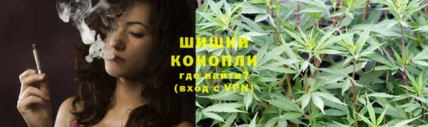 спиды Елизово