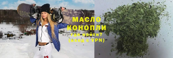 МДПВ Ельня