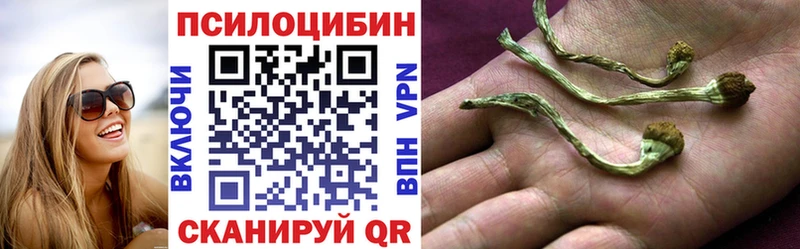 Купить где  Лодейное Поле  Галлюциногенные грибы Psilocybe 
